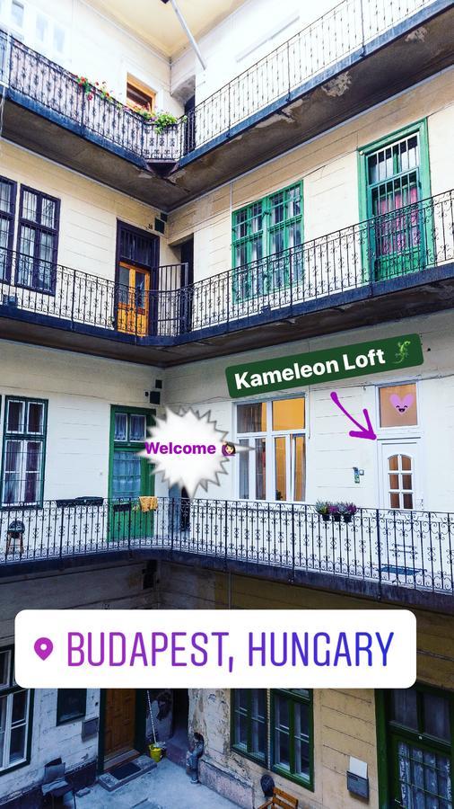Kameleon Loft Budapest